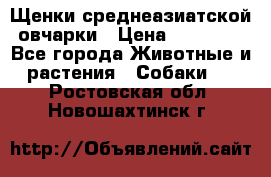 Щенки среднеазиатской овчарки › Цена ­ 20 000 - Все города Животные и растения » Собаки   . Ростовская обл.,Новошахтинск г.
